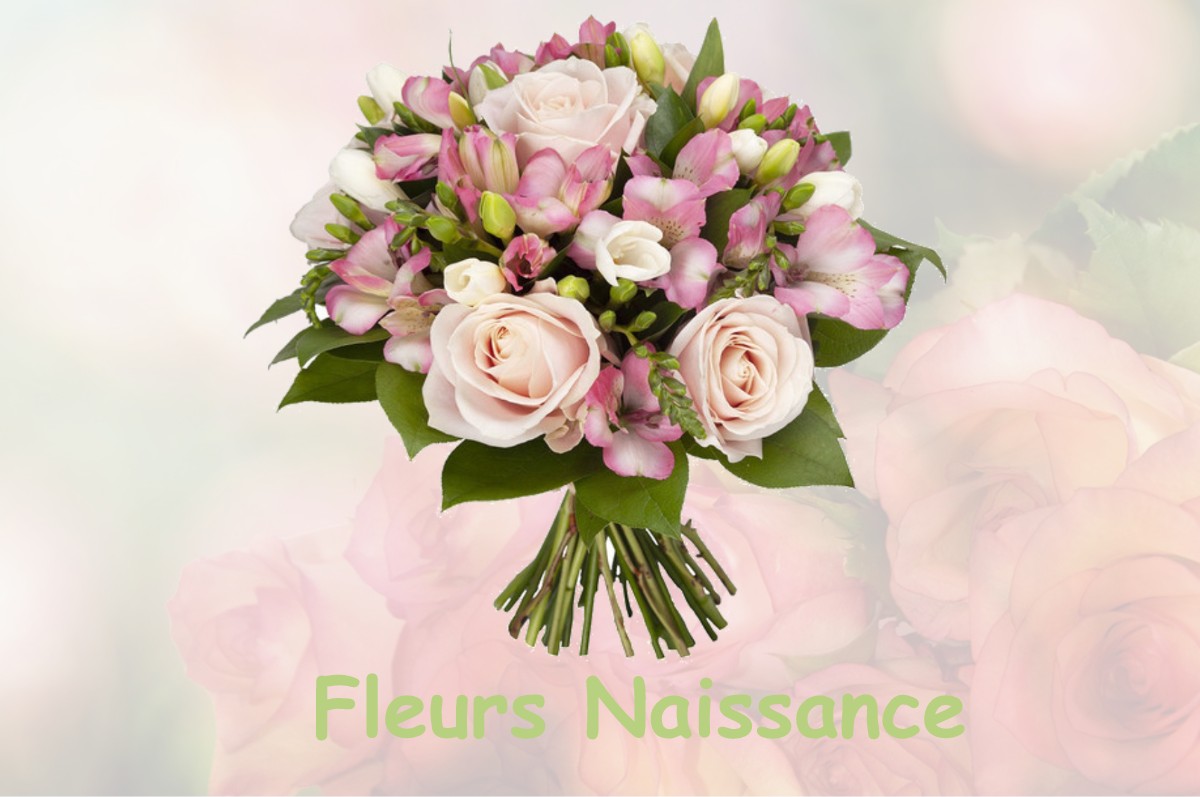 fleurs naissance GEMIGNY