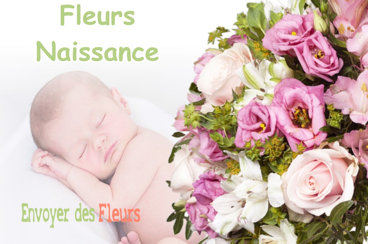 lIVRAISON FLEURS NAISSANCE à GEMIGNY